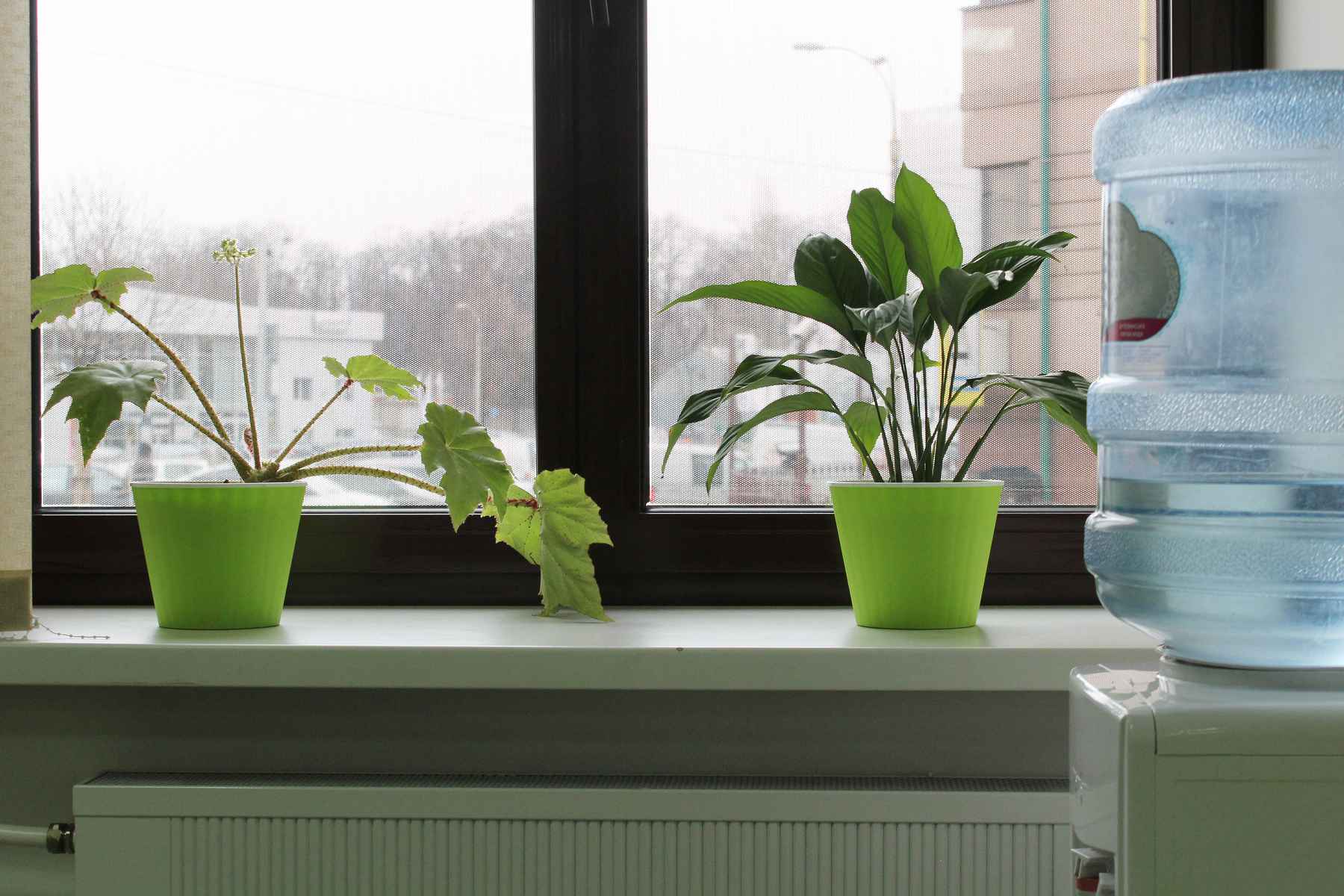 Can Office Amenities Improve Productivity?